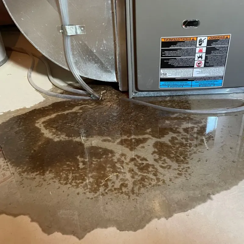 Pipe Burst and Leak Restoration in Spiro, OK